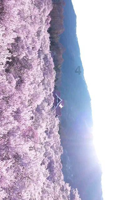 关于beyond
