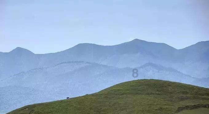 伊能静因点评委屈哭泣,事后发文向赵兆道歉,但配图却是认真的?